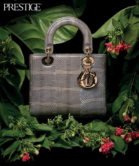 best dior bag for women.